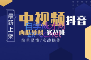 高鹏圈·蓝海中视频项目，价值980元