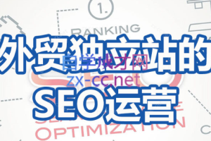 凌科·外贸独立站的SEO运营