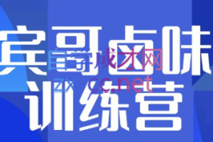 宾哥·黑鸭甜辣卤味（详细视频课程）