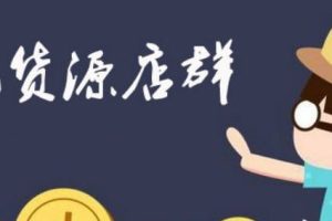 目标一个亿·2021新风口-拼多多虚拟店