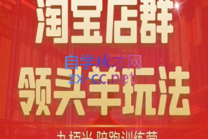九栢米·淘宝店群领头羊玩法陪跑训练营（更新十四期）