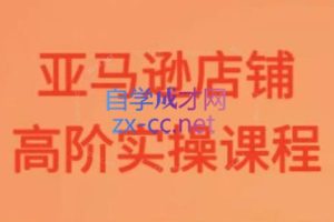 雨哥·亚马逊运营高阶实操课程