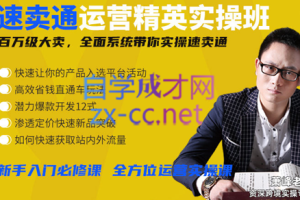 萧峰老师·速卖通精英实操班（更新2023年）
