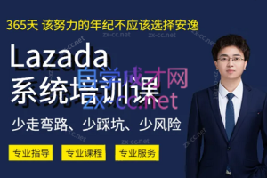 熊猫老师·2023年Lazada系统课程（跨境店+本土店）