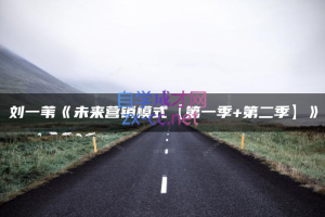 刘一苇，未来营销模式，第一季+第二季