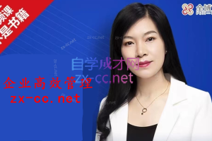 许林芳《企业高效组织管理》16讲