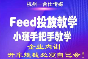 合仕传媒·Feed投放教学，价值12800元