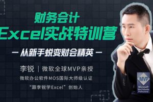 跟李锐学Excel：财务会计Excel职场实战特训营