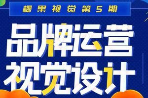 椰果视觉·品牌运营设计第五期，价值1399元