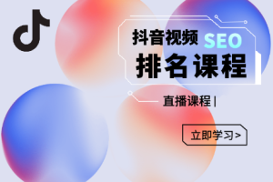 森淼·抖音SEO排名引流变现，价值1680元