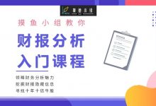 摸鱼小组：财报分析入门课程