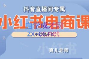 爽儿老师·小红书电商课