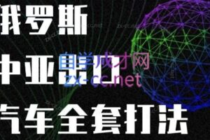 雨哥·汽车出口中亚俄罗斯全套打法课程