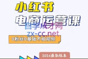 达哥·小红书电商运营（2024版）