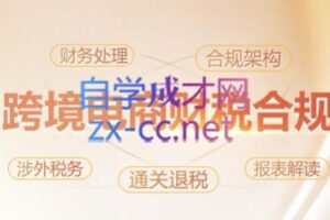 多米老师·跨境老板财税合规特训营