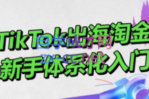 大彬老师·TikTok出海淘金，新手体系化入门