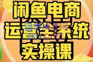 铁逸潇·闲鱼电商开店运营VIP实操课