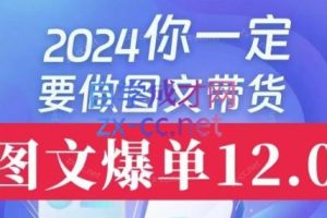 抖鑫传媒·短视频图文带货12.0
