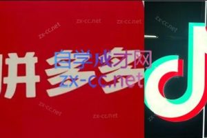 老陶电商·拼多多+抖音小店无货源开店（更新11月）