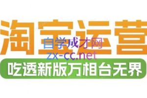 大海老师·淘宝无界系统实操课