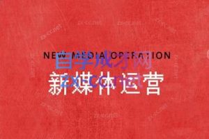 汤哥·30天玩转新媒体，从账号策划到直播变现