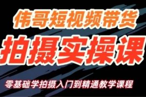 伟哥·短视频带货拍摄实操课