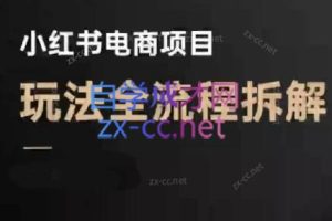 菲菲老师·小红书电商玩法