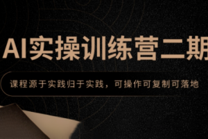 郑十兄·AI实操训练营二期