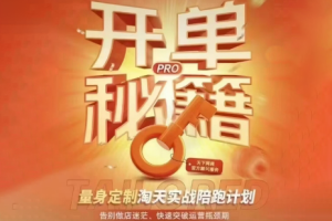 天下网商·淘宝天猫陪跑计划（更新2025年）