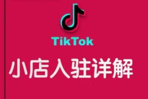 阿华·TikTok跨境小店运营全攻略