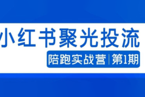钟小玲·小红书聚光投流陪跑实战营