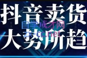董老板六边形千川运营（6月+12月）