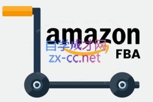 子健老师·亚马逊0-1全流程实操，FBA/FBM玩法全解