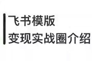 Cayson老师·小红书飞书摸版变现实战