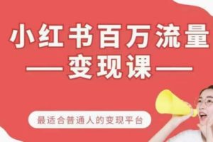 沈凡老师·小红书百万流量变现课