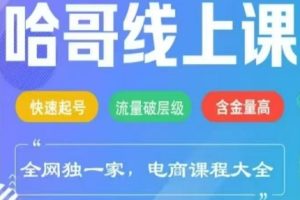 哈哥电商线上课程（2025版）