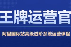 大钟老师·阿里巴巴国际站高级运营实战打造爆款店铺