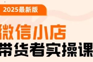 陈奶爸老师·2025最新版微信小店带货者实操课