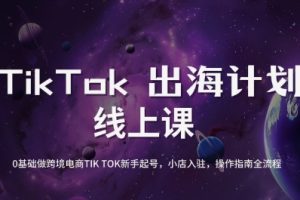 老吴·TikTok跨境电商新手起号与运营全攻略