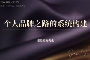 亲爱的安先生·Ai个人品牌之路（三天10小时）