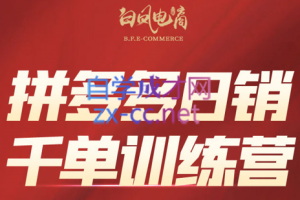 白凤电商·拼多多日销千单训练营（更新3月）
