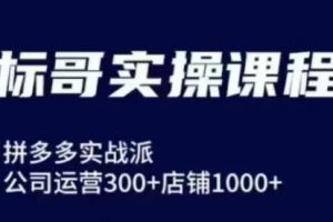 标哥电商·拼多多飞龙在天玩法（更新3月）