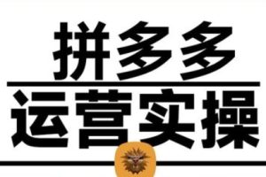 仙道电商·2025拼多多运营实战课