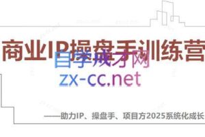 2025IP流量操盘手养成计划