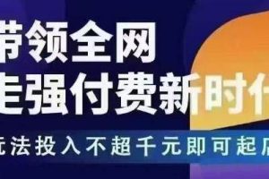 王校长·万金油强付费玩法（更新4月最牛逼的强付费玩法）