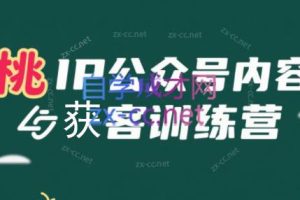 桃子·IP公众号内容获客训练营