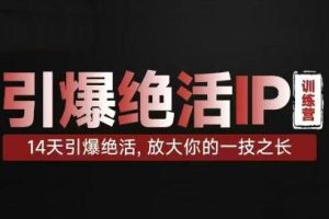 坤龙·引爆绝活IP训练营