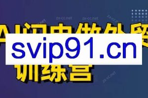 大卫·AI闪电做外贸训练营（更新4月）