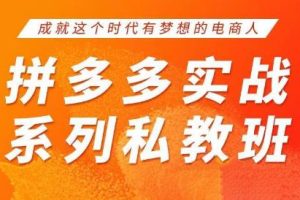 华生老师·2025拼多多实战系列私教班