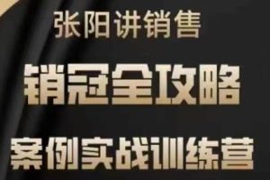 张阳讲销售实战训练营